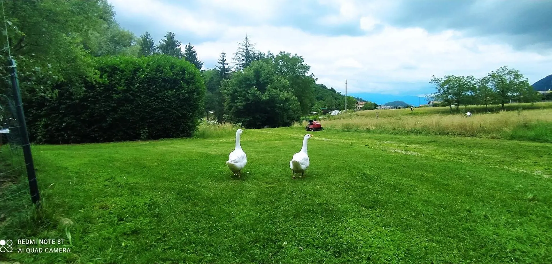 Bed & Breakfast Casale Del Cantico Brenta