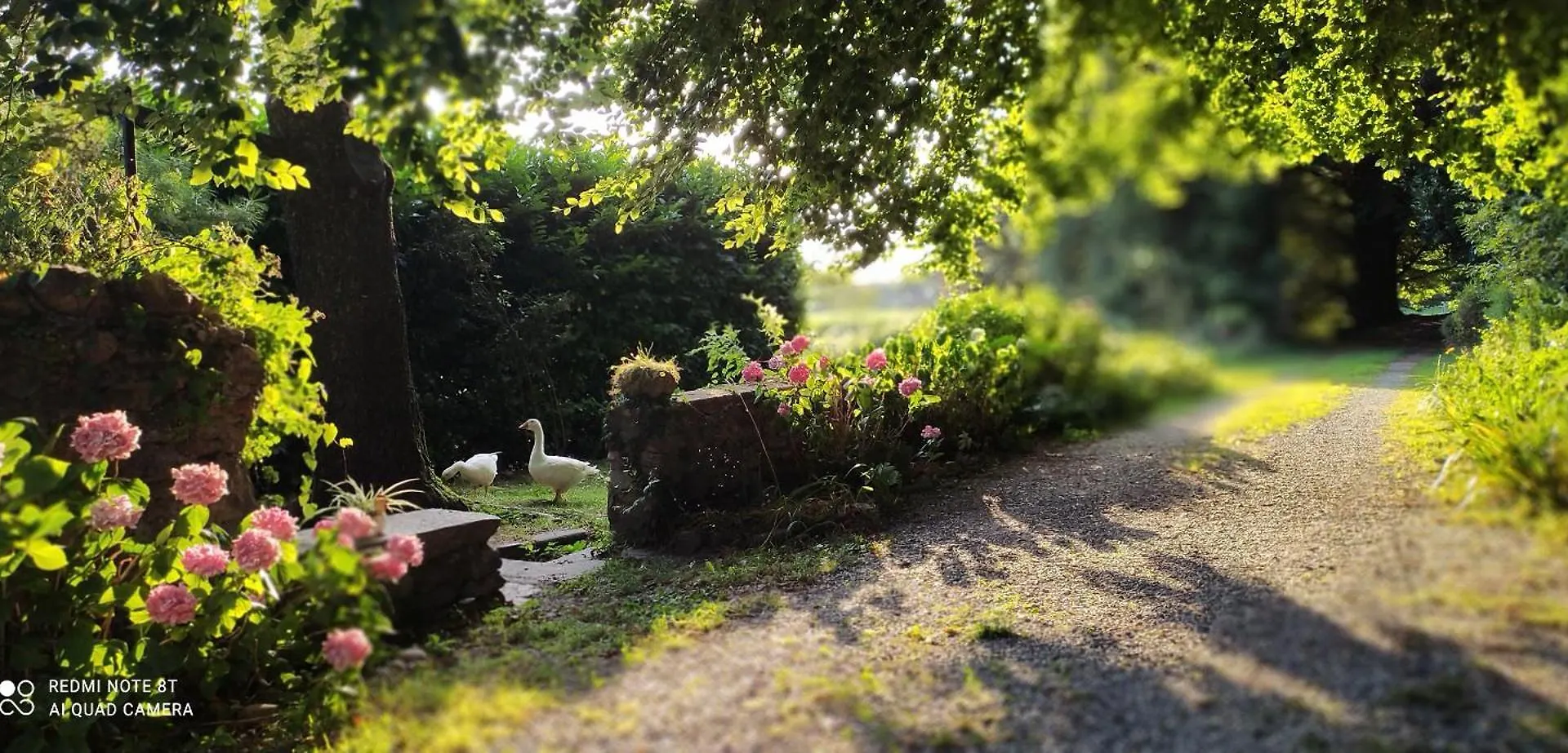 Casale Del Cantico Brenta Bed & Breakfast